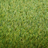 Landscae Turf Grass للحديقة الشخصية السكنية